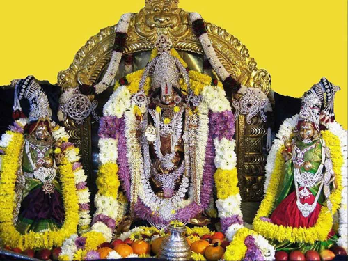 Information on Tiruchanur Pavitrotsavam. The three-day Pavitrotsavam in the temple of Goddess Padmavati at Tiruchanur.